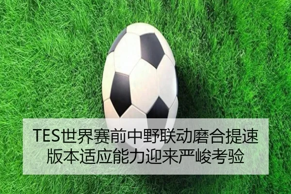 TES世界赛前中野联动磨合提速 版本适应能力迎来严峻考验
